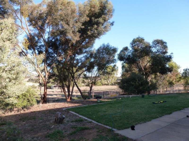 Lot 7 Kurrang Avenue, Clare SA 5453
