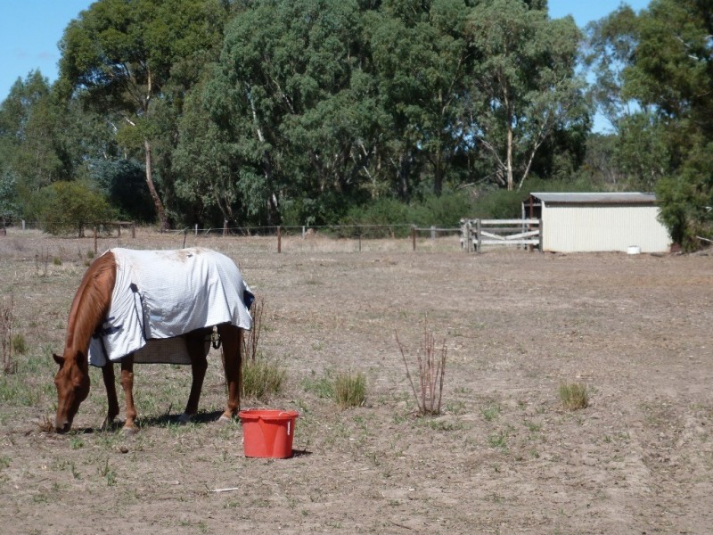 Lot 7 Kurrang Avenue, Clare SA 5453