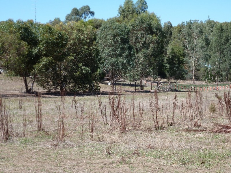 Lot 7 Kurrang Avenue, Clare SA 5453