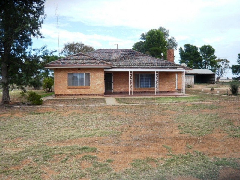 * 36.34ha Stringvale 90acs, Koolunga SA 5464