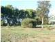 * 36.34ha Stringvale 90acs, Koolunga SA 5464