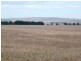* 36.34ha Stringvale 90acs, Koolunga SA 5464