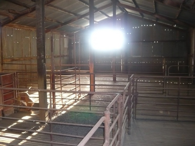 * 36.34ha Stringvale 90acs, Koolunga SA 5464