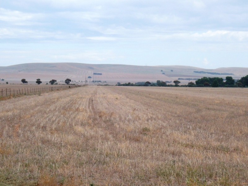 * 36.34ha Stringvale 90acs, Koolunga SA 5464