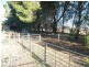 * 36.34ha Stringvale 90acs, Koolunga SA 5464