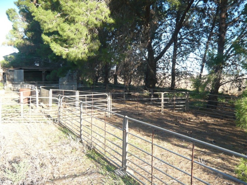 * 36.34ha Stringvale 90acs, Koolunga SA 5464