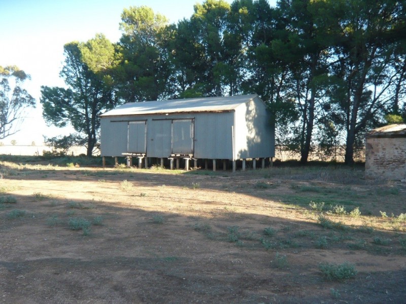 * 36.34ha Stringvale 90acs, Koolunga SA 5464