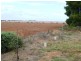 * 36.34ha Stringvale 90acs, Koolunga SA 5464