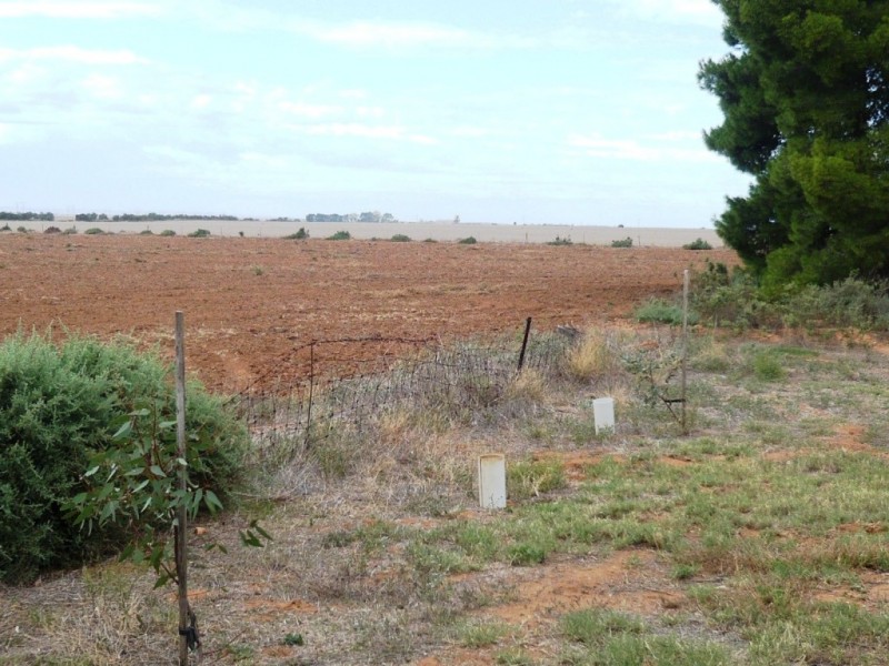 * 36.34ha Stringvale 90acs, Koolunga SA 5464