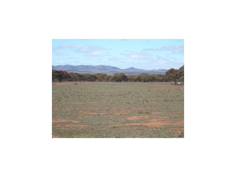 * 4433.4ha Wilsons 10,957acs, Parnaroo SA 5422