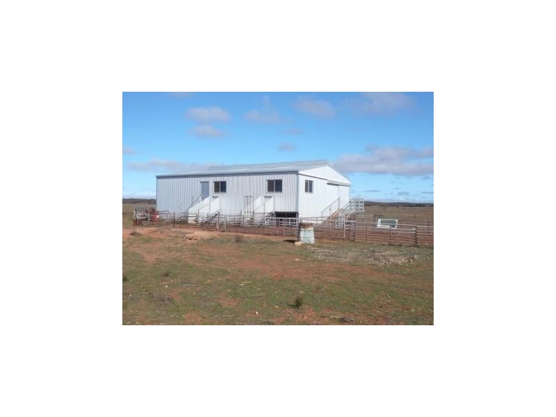 * 4433.4ha Wilsons 10,957acs, Parnaroo SA 5422