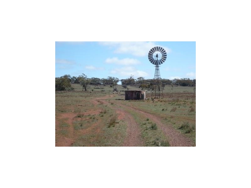 * 4433.4ha Wilsons 10,957acs, Parnaroo SA 5422