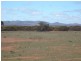 * 4433.4ha Wilsons 10,957acs, Parnaroo SA 5422