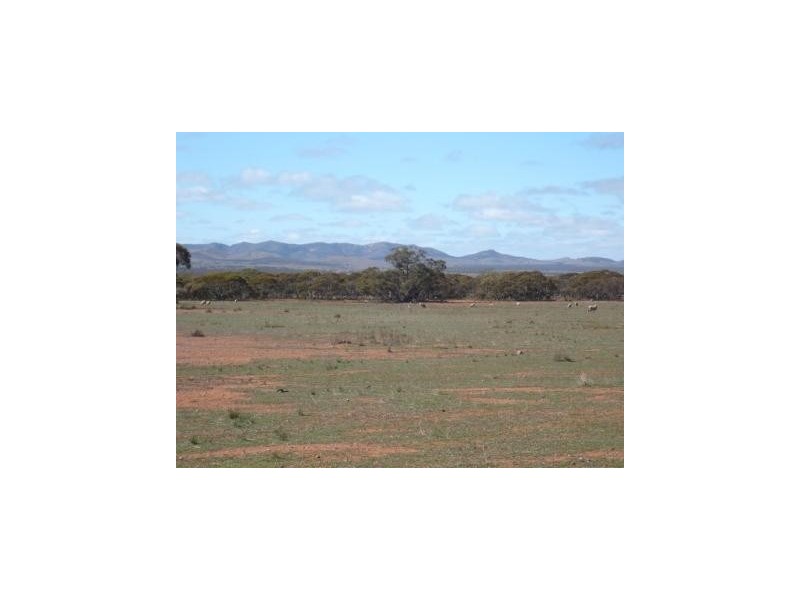 * 4433.4ha Wilsons 10,957acs, Parnaroo SA 5422