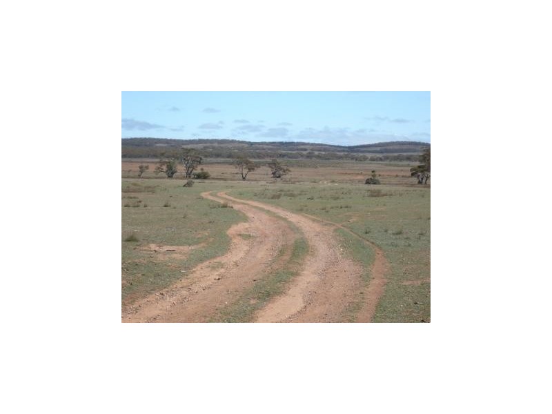 * 4433.4ha Wilsons 10,957acs, Parnaroo SA 5422