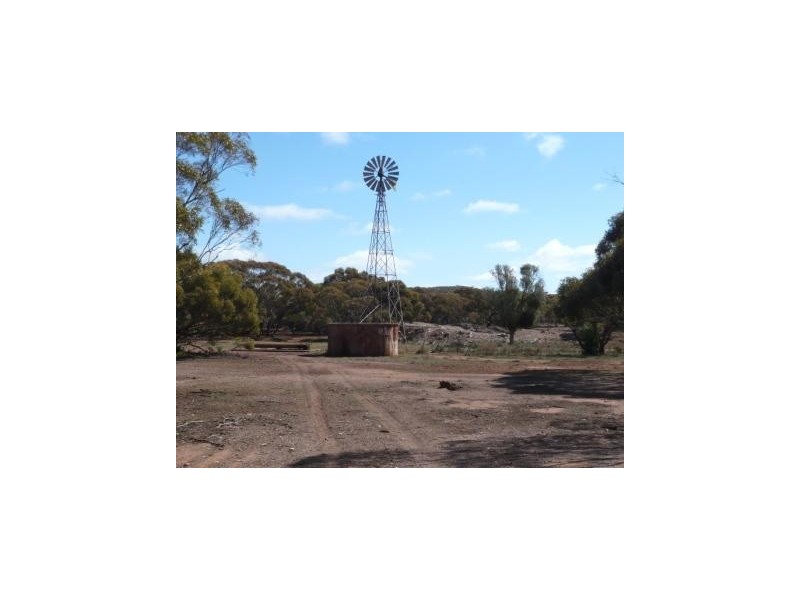 * 4433.4ha Wilsons 10,957acs, Parnaroo SA 5422