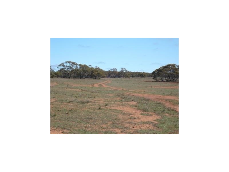 * 4433.4ha Wilsons 10,957acs, Parnaroo SA 5422
