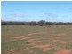 * 4433.4ha Wilsons 10,957acs, Parnaroo SA 5422