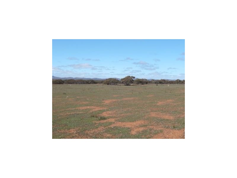 * 4433.4ha Wilsons 10,957acs, Parnaroo SA 5422