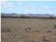 * 4433.4ha Wilsons 10,957acs, Parnaroo SA 5422