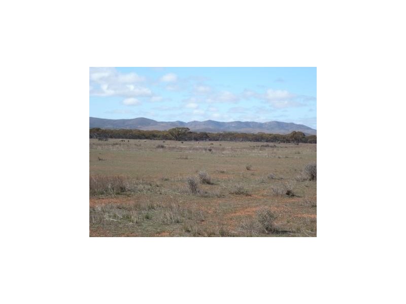 * 4433.4ha Wilsons 10,957acs, Parnaroo SA 5422