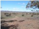 * 4433.4ha Wilsons 10,957acs, Parnaroo SA 5422