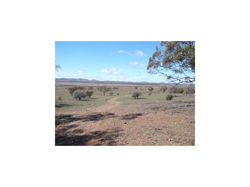 * 4433.4ha Wilsons 10,957acs, Parnaroo SA 5422