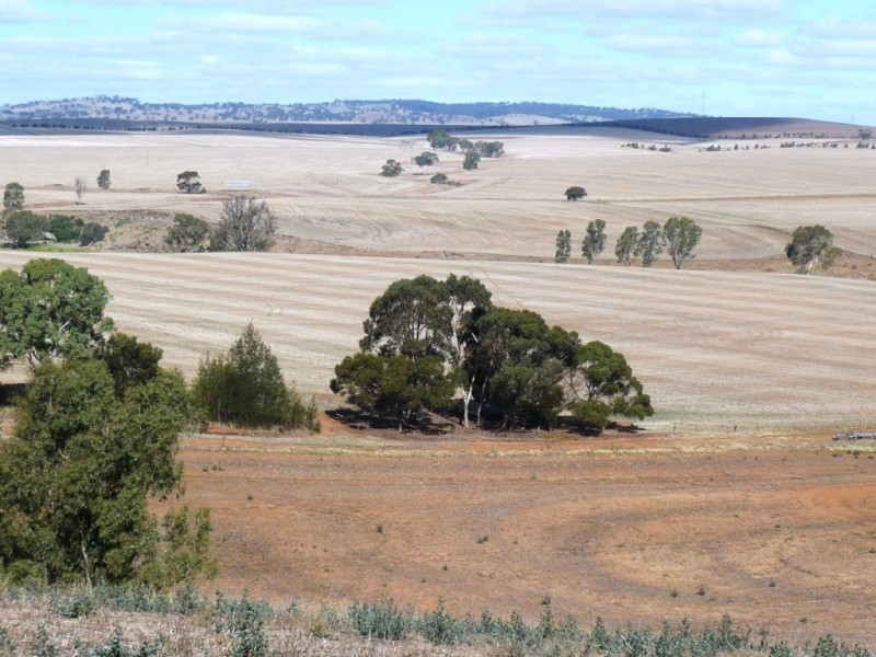 * Approx 658.9ha/1628acs “River Valley”, Salter Springs SA 5401