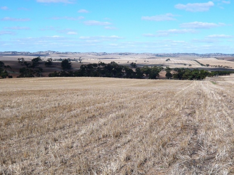 * Approx 658.9ha/1628acs “River Valley”, Salter Springs SA 5401