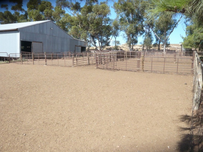 * Approx 658.9ha/1628acs “River Valley”, Salter Springs SA 5401