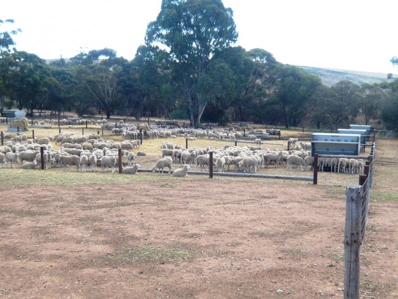 * Approx 658.9ha/1628acs “River Valley”, Salter Springs SA 5401