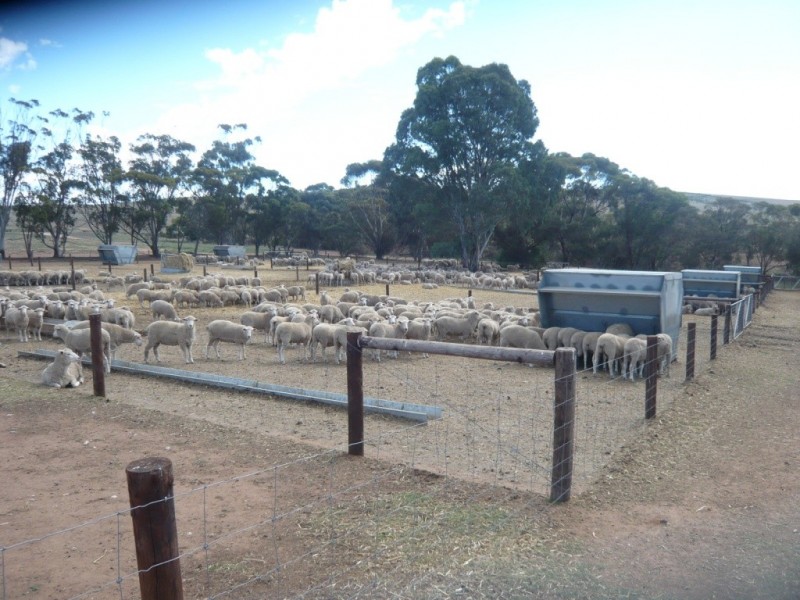 * Approx 658.9ha/1628acs “River Valley”, Salter Springs SA 5401