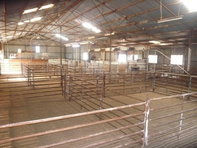 * Approx 658.9ha/1628acs “River Valley”, Salter Springs SA 5401