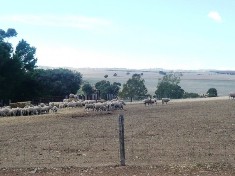 * Approx 658.9ha/1628acs “River Valley”, Salter Springs SA 5401