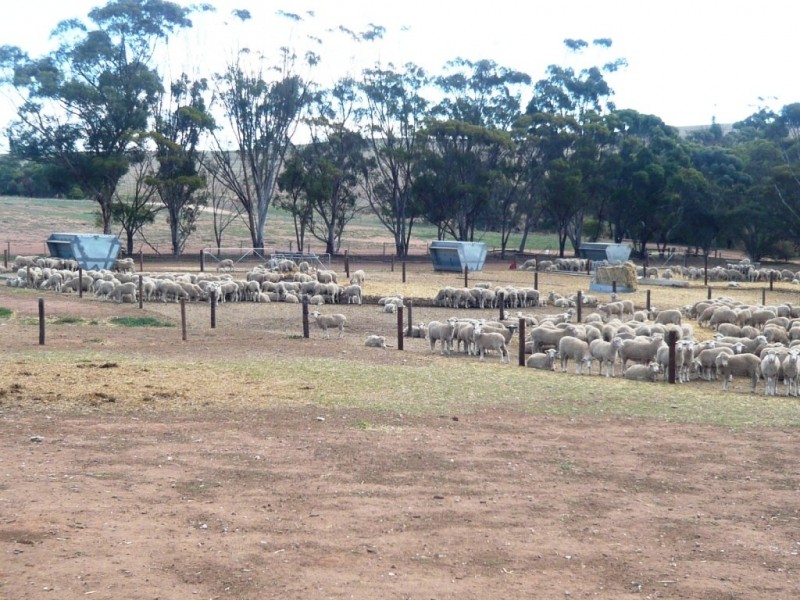 * Approx 658.9ha/1628acs “River Valley”, Salter Springs SA 5401