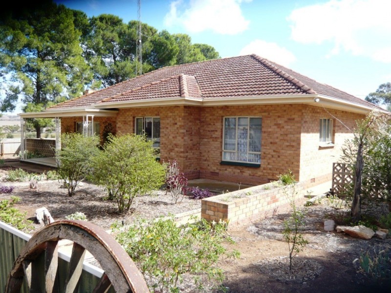* 10.11ha “Stylish Farmlet” 25acs, Nantawarra SA 5550
