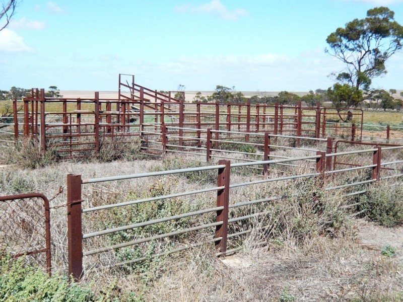 * 10.11ha “Stylish Farmlet” 25acs, Nantawarra SA 5550