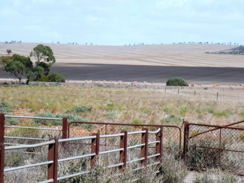 * 10.11ha “Stylish Farmlet” 25acs, Nantawarra SA 5550