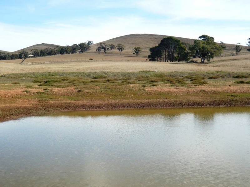 * 388.48ha Kercolo 960.12acs, Hallett SA 5419