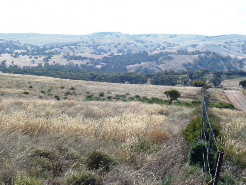 * 388.48ha Kercolo 960.12acs, Hallett SA 5419