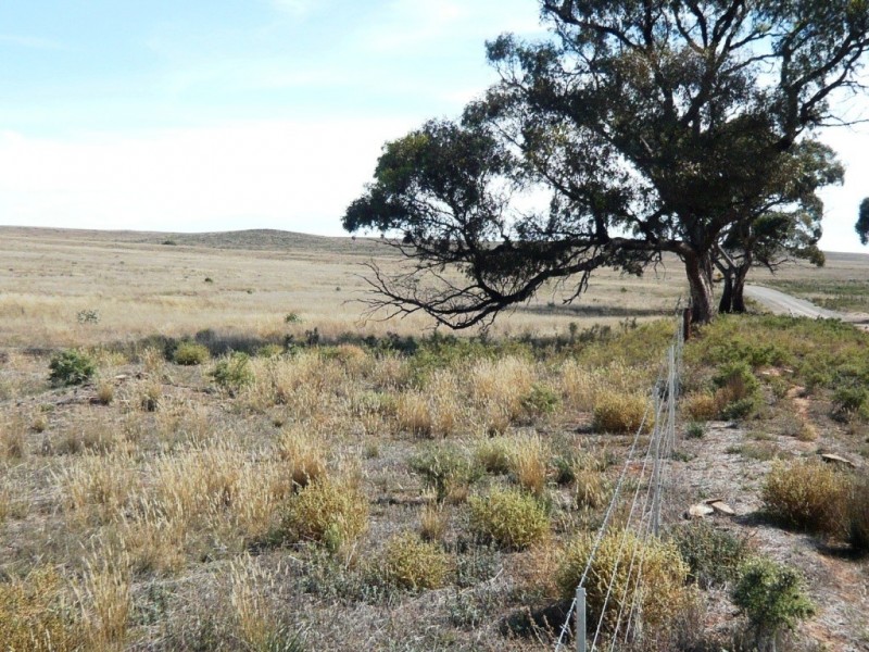 * 388.48ha Kercolo 960.12acs, Hallett SA 5419