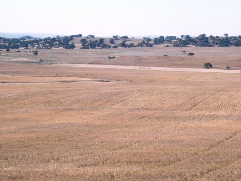 * 388.48ha Kercolo 960.12acs, Hallett SA 5419