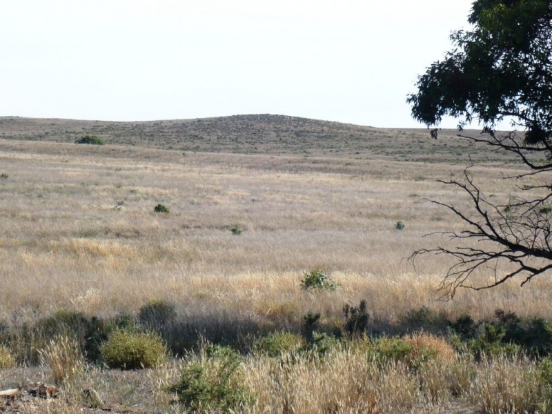 * 388.48ha Kercolo 960.12acs, Hallett SA 5419