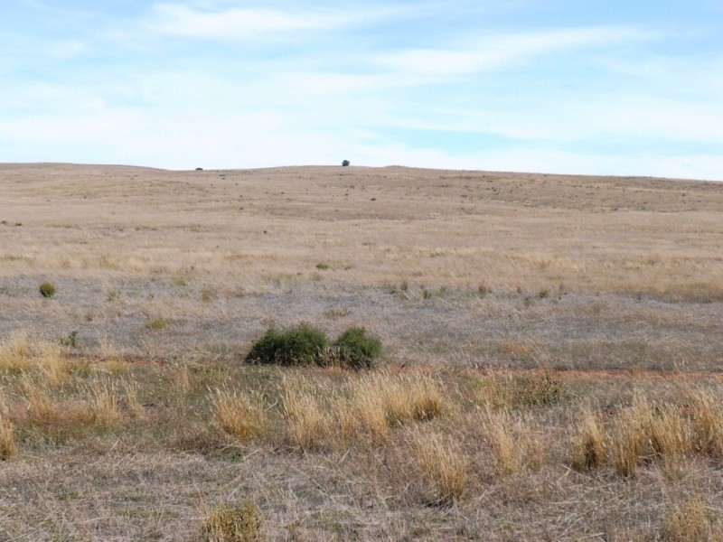 * 388.48ha Kercolo 960.12acs, Hallett SA 5419