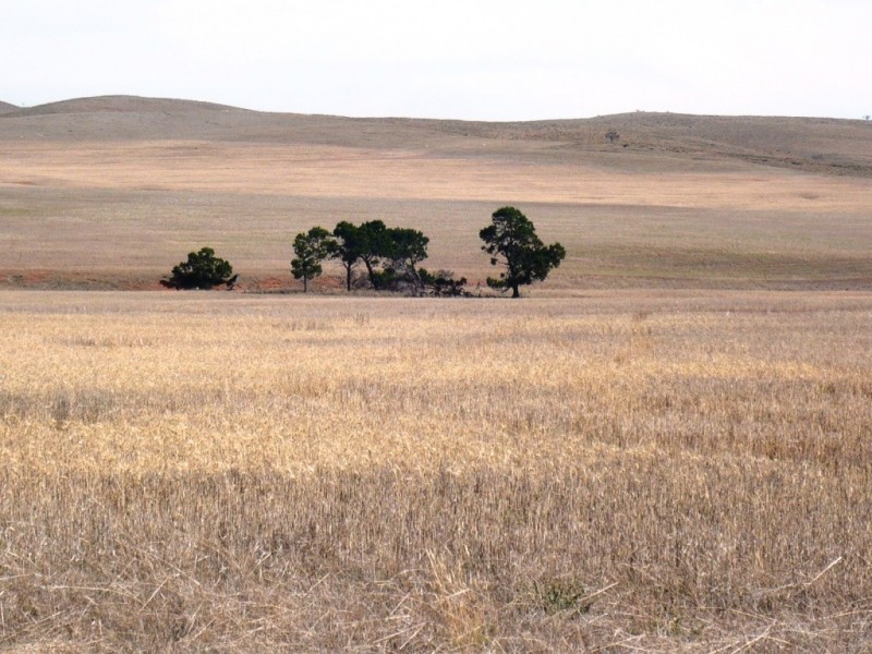 * 388.48ha Kercolo 960.12acs, Hallett SA 5419