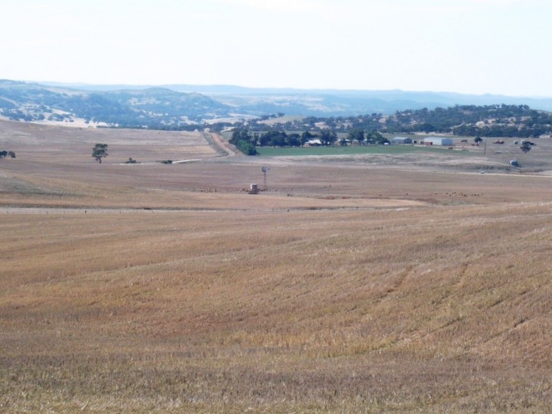 * 388.48ha Kercolo 960.12acs, Hallett SA 5419