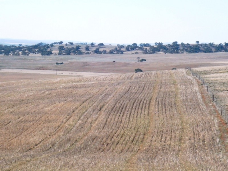 * 388.48ha Kercolo 960.12acs, Hallett SA 5419