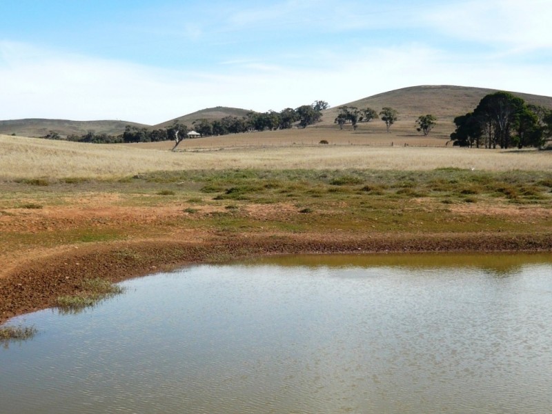 * 388.48ha Kercolo 960.12acs, Hallett SA 5419