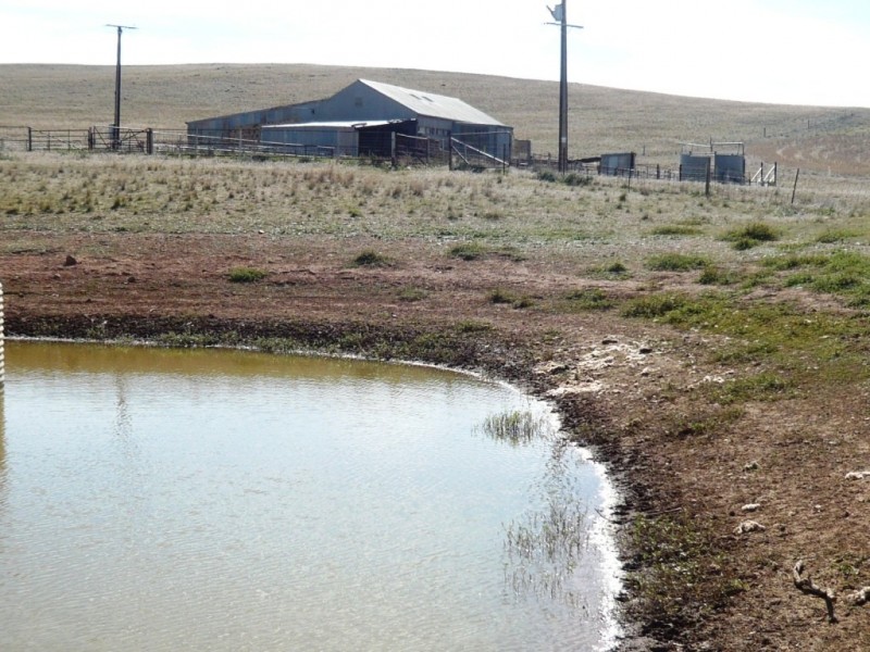 * 388.48ha Kercolo 960.12acs, Hallett SA 5419