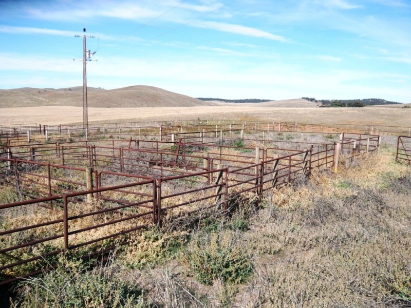 * 388.48ha Kercolo 960.12acs, Hallett SA 5419